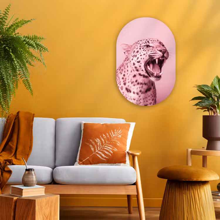 Forexbild Oval - Rosa Katze – Modern — 2