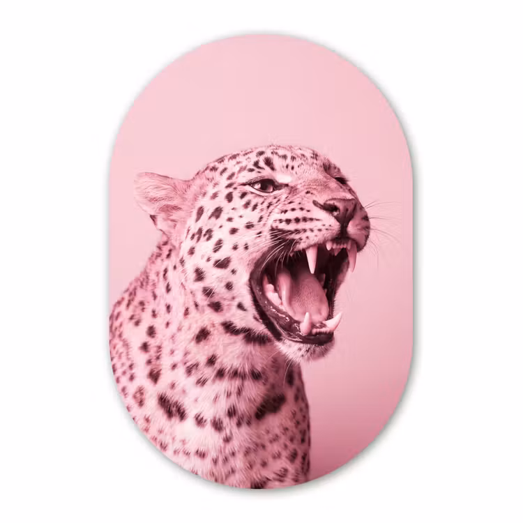 Glasbild Oval - Rosa Katze – Modern — 1