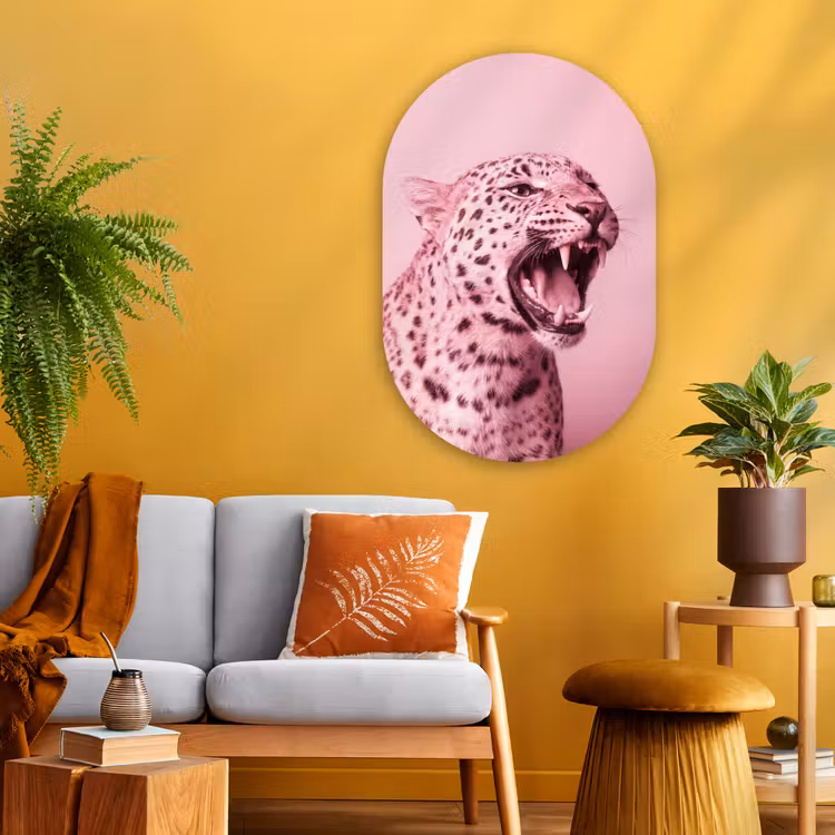 Glasbild Oval - Rosa Katze – Modern — 3