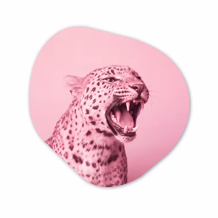 Glasbild Organische Form - Rosa Katze – Modern — 1