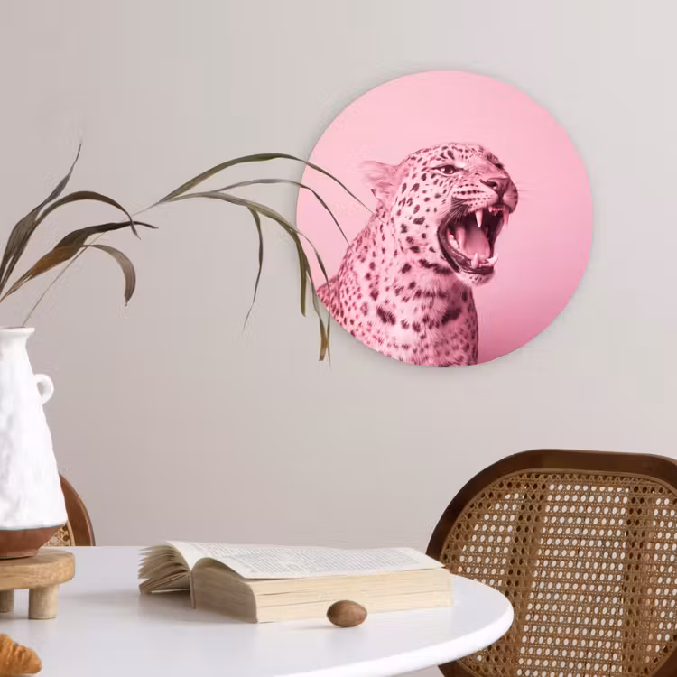 Forexbild Rund - Rosa Katze – Modern — 4