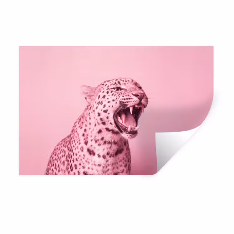 Wandtattoo – Rosa Katze – Modern — 1