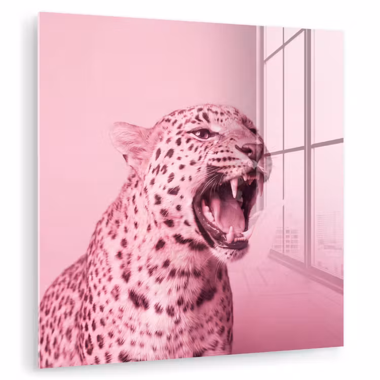 Glasbild - Rosa Katze – Modern — 1