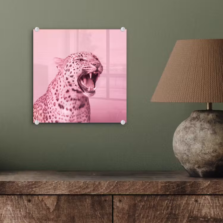 Glasbild - Rosa Katze – Modern — 4