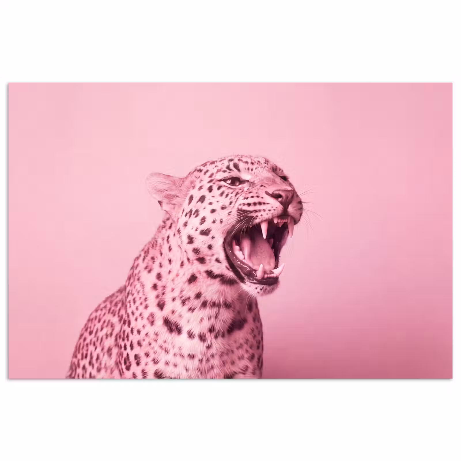 Poster - Rosa Katze – Modern — 1