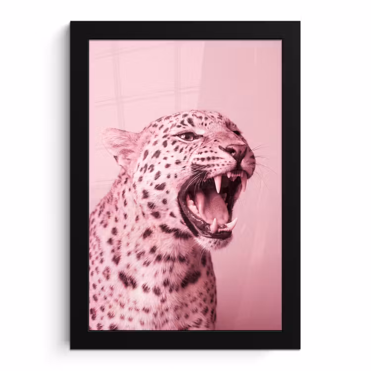 Bilder mit Rahmen - Rosa Katze – Modern — 1