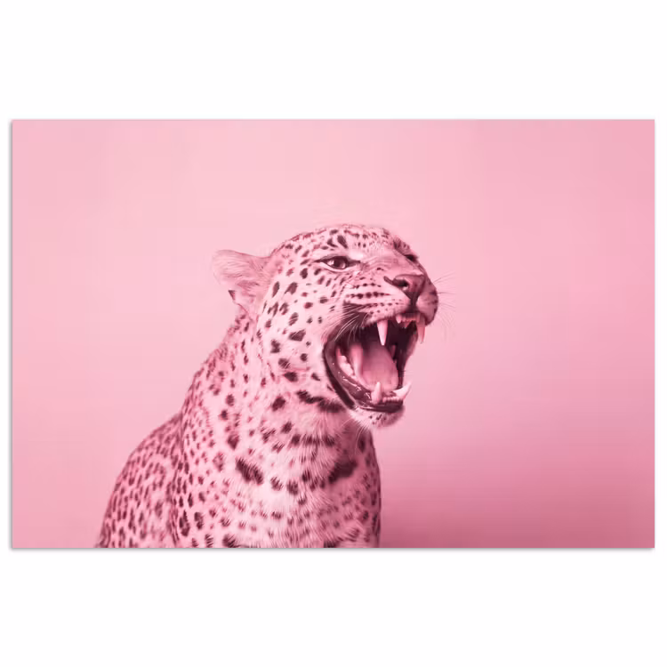 Poster - Rosa Katze – Modern — 1