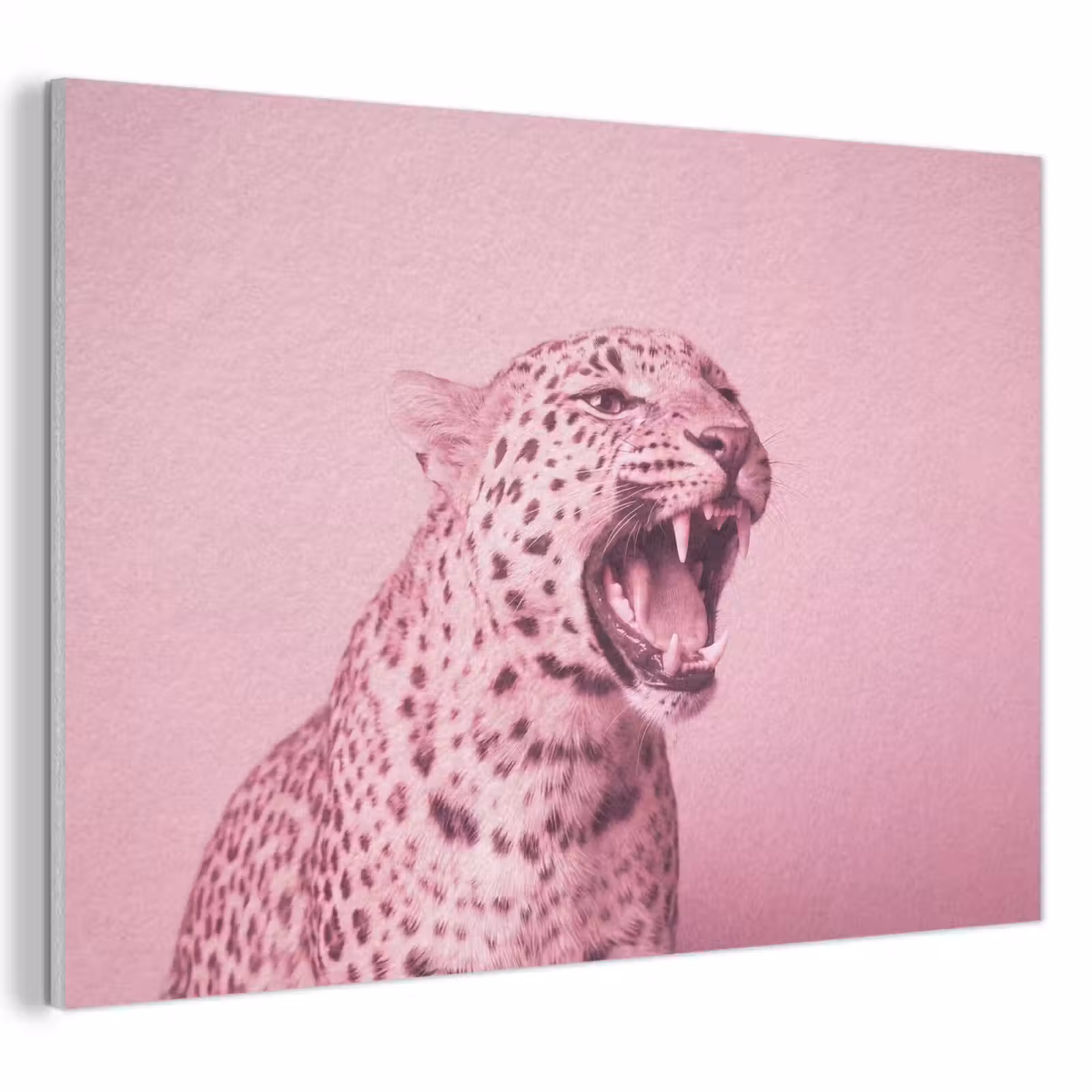 Akustikbild - Rosa Katze – Modern — 1