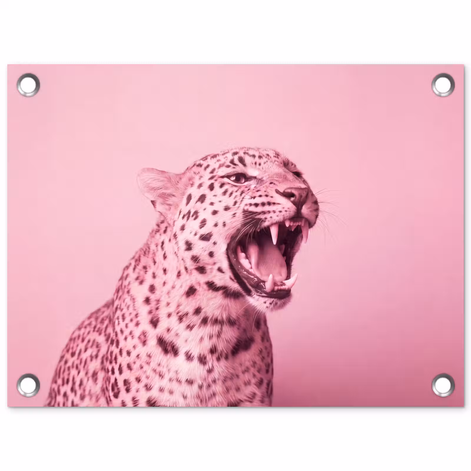 Gartenposter - Rosa Katze – Modern — 1