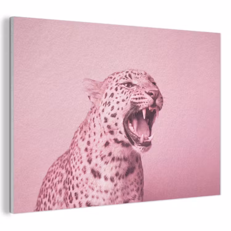 Akustikbild - Rosa Katze – Modern — 1