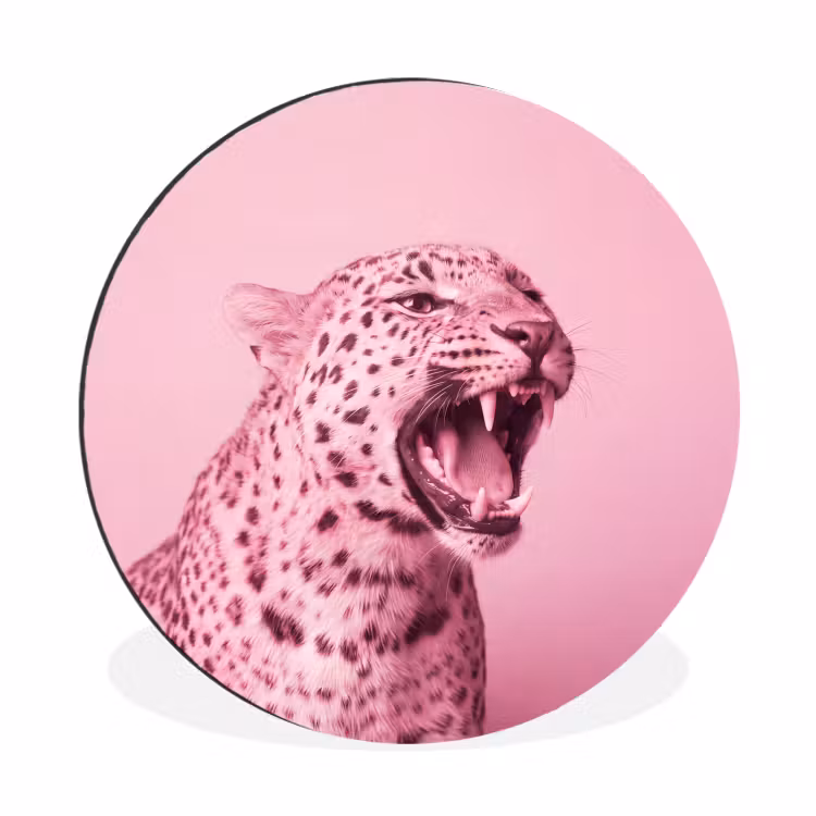 Alu-Dibond-Bild Rund - Rosa Katze – Modern — 1