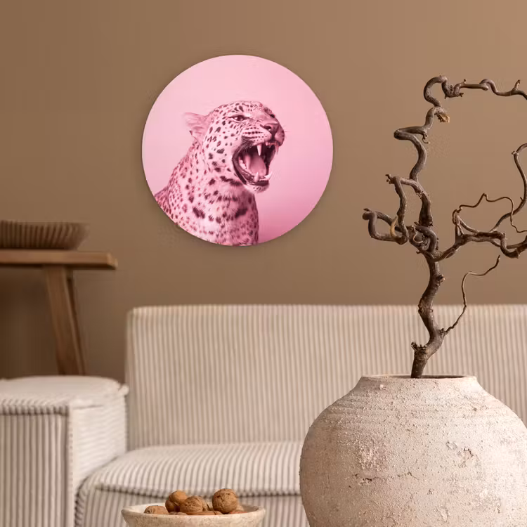 Glasbild Rund - Rosa Katze – Modern — 2