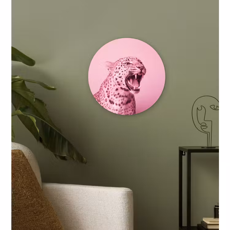 Glasbild Rund - Rosa Katze – Modern — 3