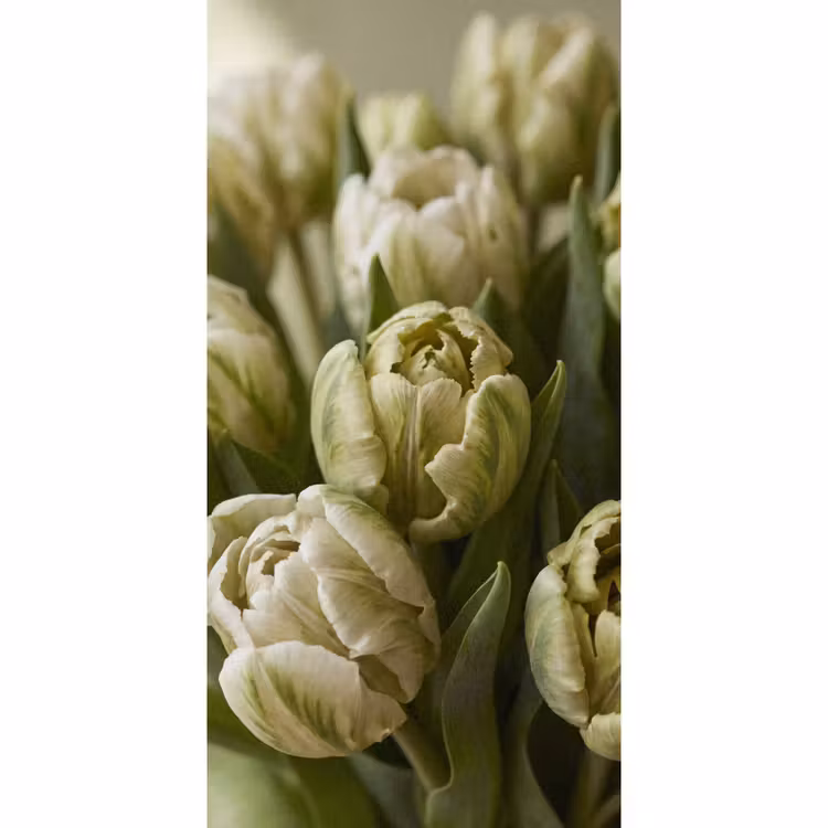 Tapete - Blumen – Grün – Natur — 2