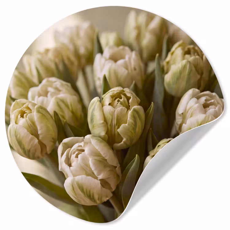 Runde Tapete - Blumen – Grün – Natur — 1