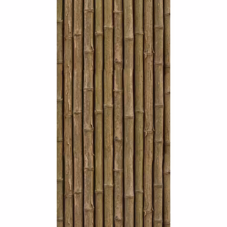 Tapete - Bambus – Stängel – Natur — 2