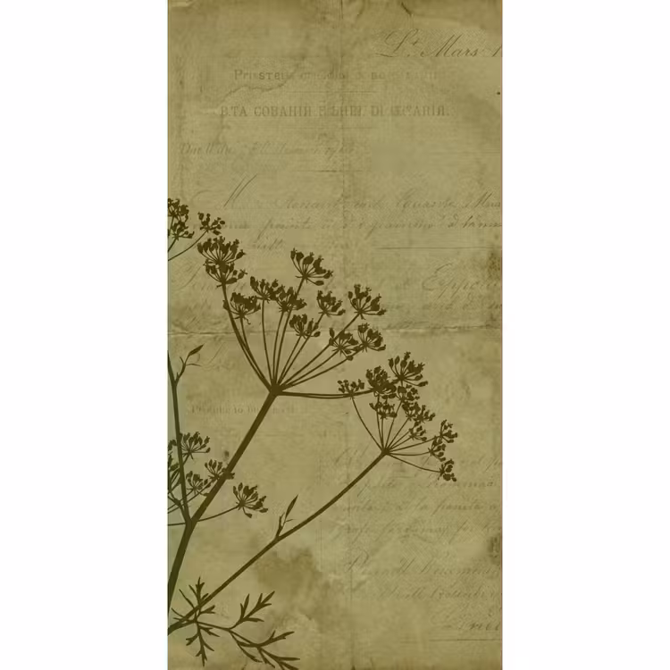 Tapete - Blumen – Schrift – Grün — 2