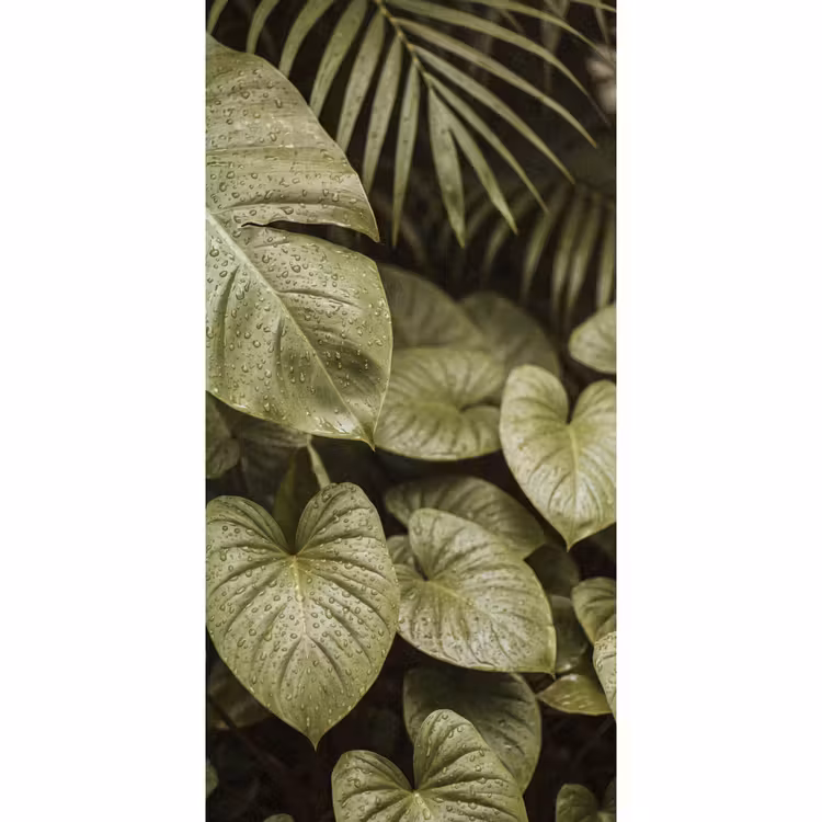 Tapete - Grüne Blätter – Natur — 2