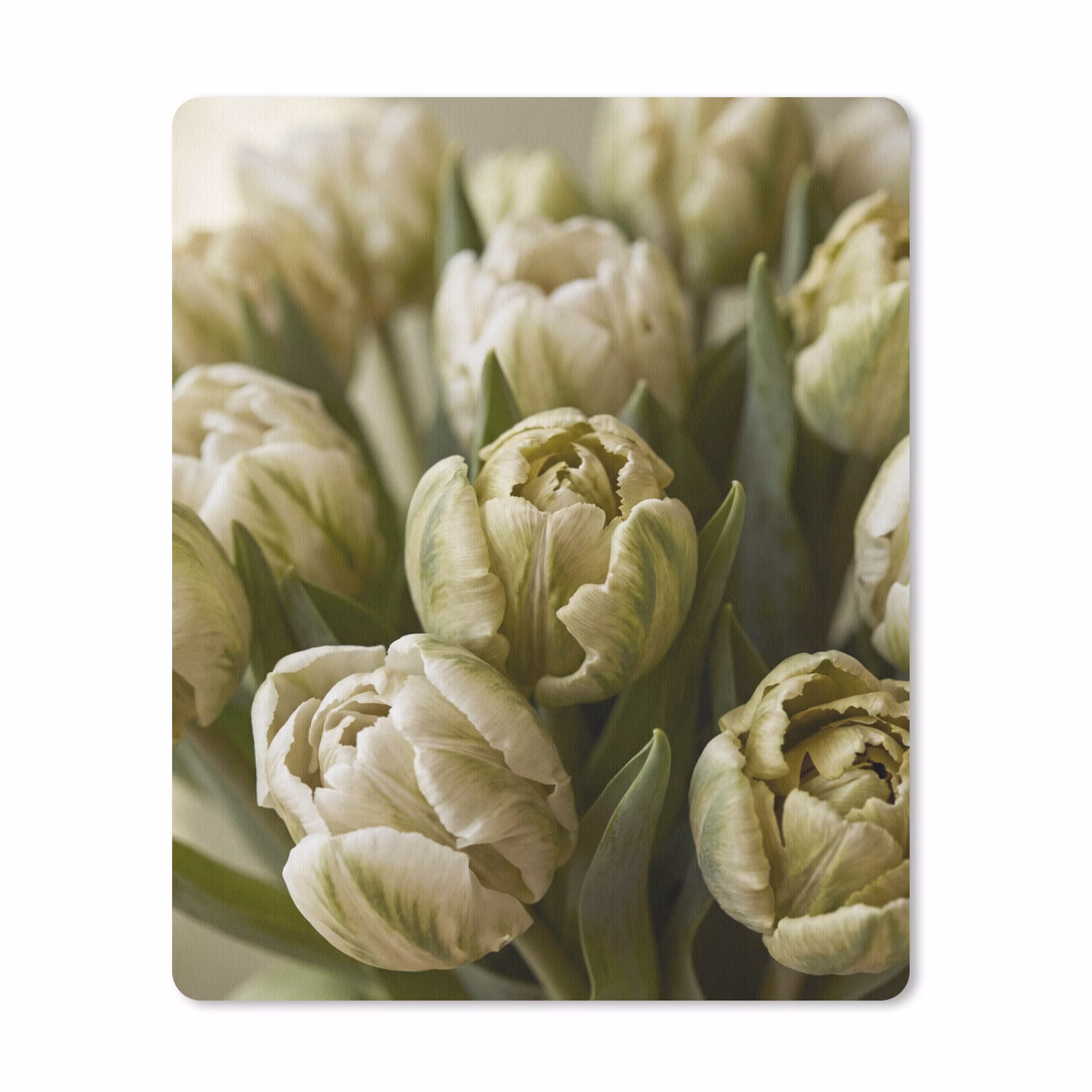 Mauspad - Blumen – Grün – Natur — 1