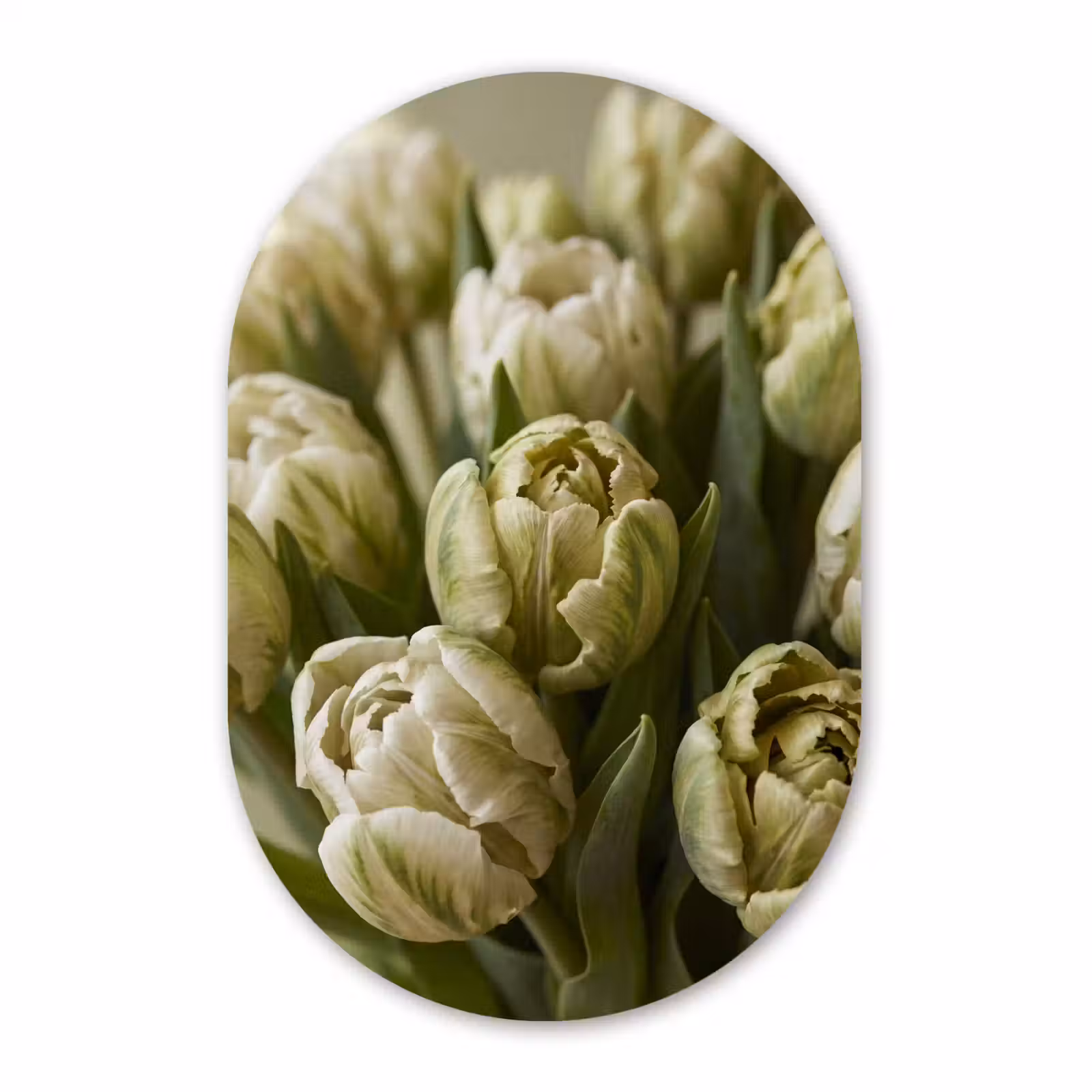 Forexbild Oval - Blumen – Grün – Natur — 1