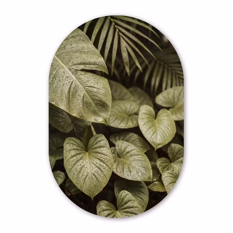 Forexbild Oval - Grüne Blätter – Natur — 1