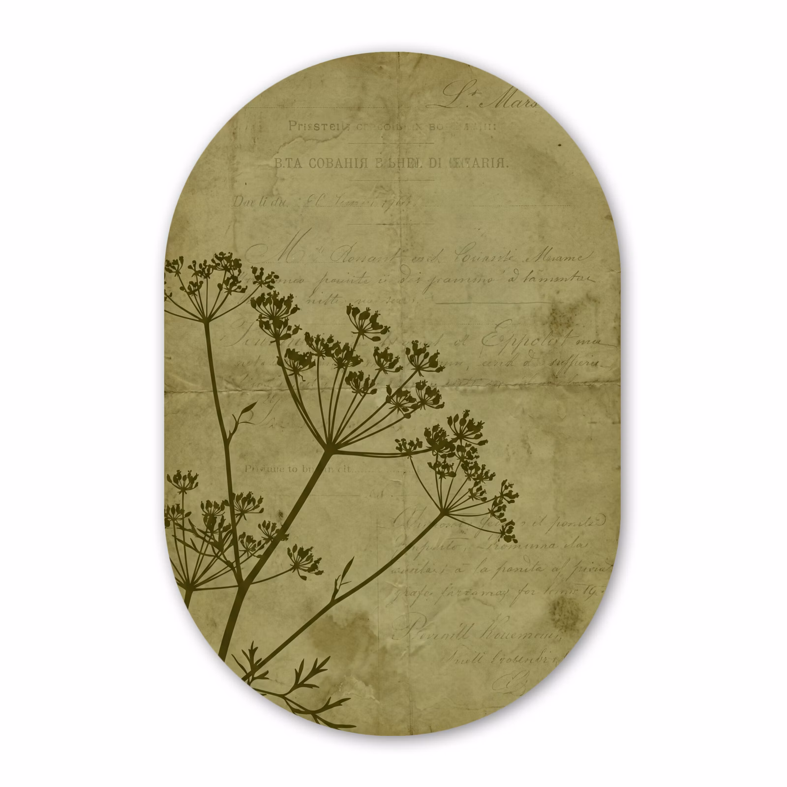 Glasbild Oval - Blumen – Schrift – Grün — 1