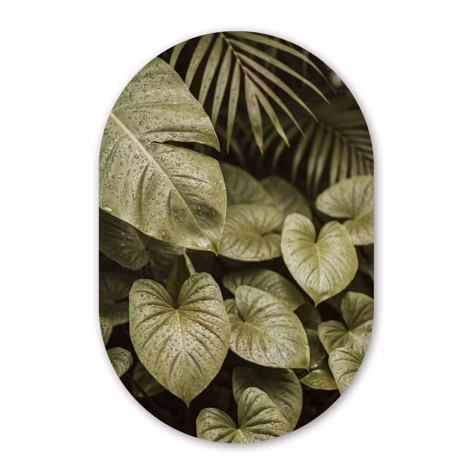 Glasbild Oval - Grüne Blätter – Natur — 1