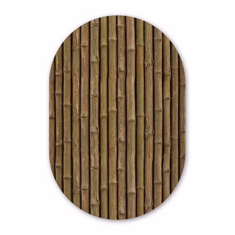 Glasbild Oval - Bambus – Stängel – Natur — 1