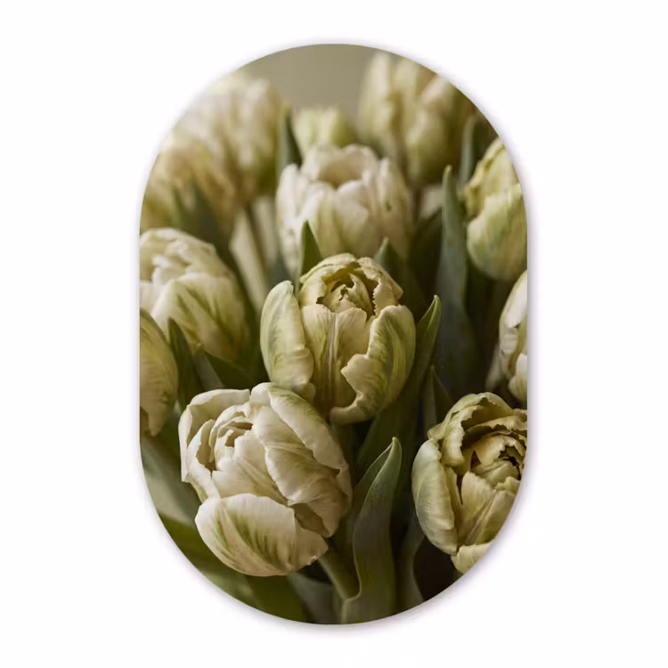 Glasbild Oval - Blumen – Grün – Natur — 1
