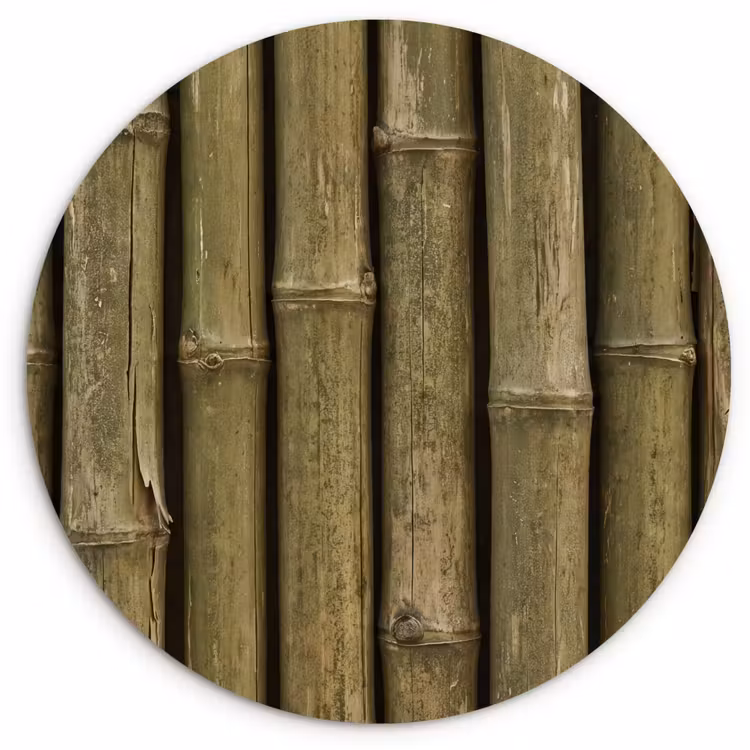 Forexbild Rund - Bambus – Stängel – Natur — 1