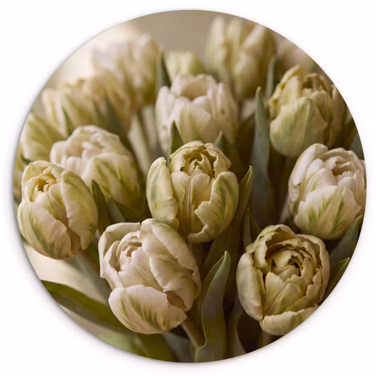 Forexbild Rund - Blumen – Grün – Natur — 1
