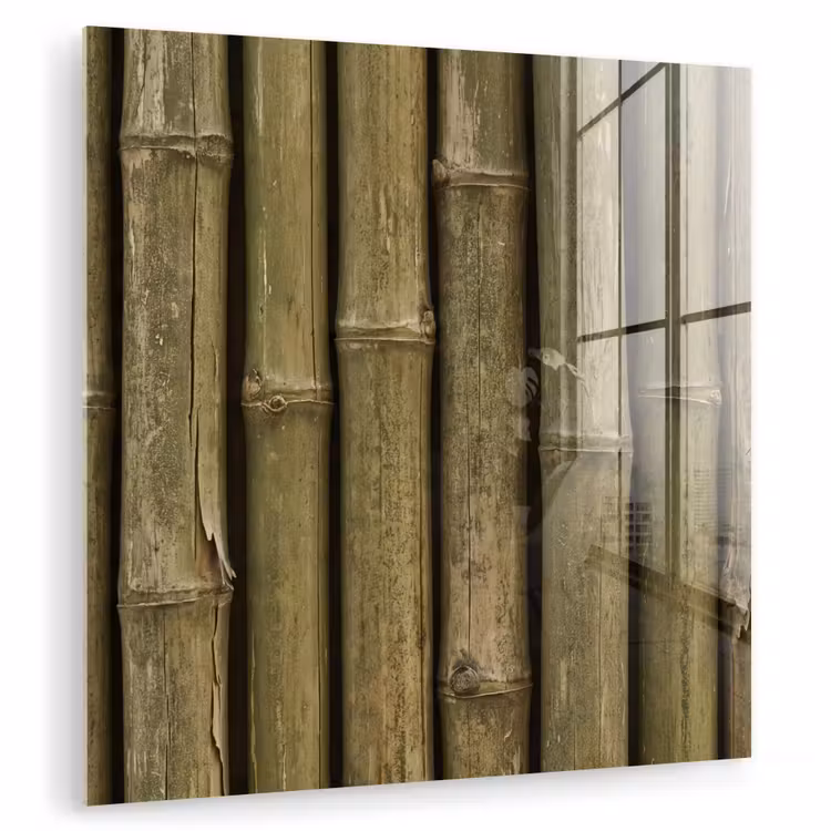 Glasbild - Bambus – Stängel – Natur — 1
