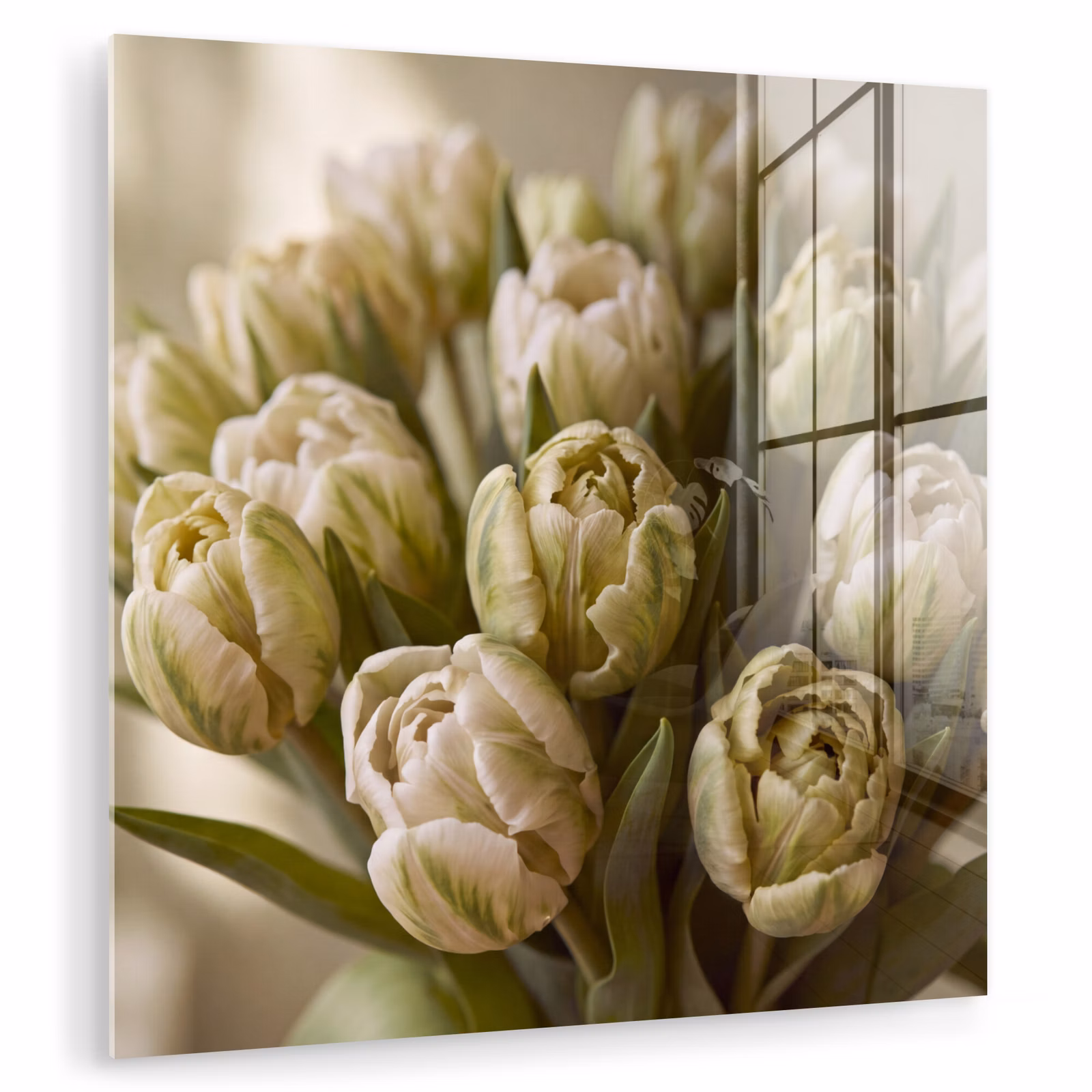 Glasbild - Blumen – Grün – Natur — 1