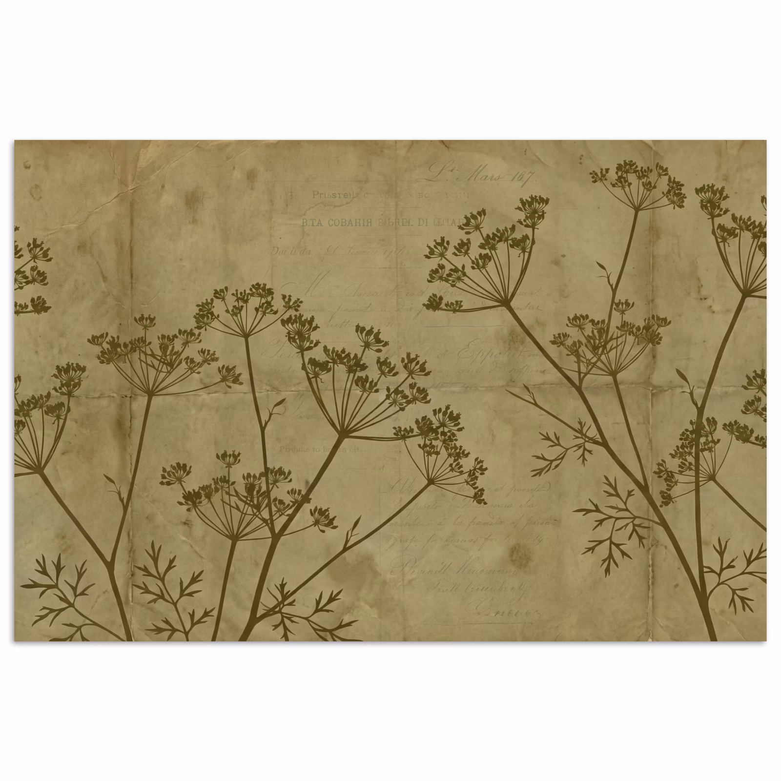 Poster - Blumen – Schrift – Grün — 1