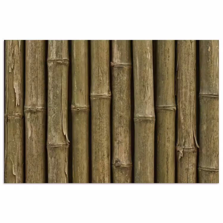 Poster - Bambus – Stängel – Natur — 1