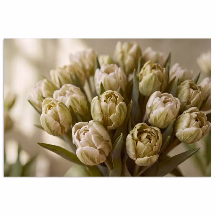 Poster - Blumen – Grün – Natur — 1
