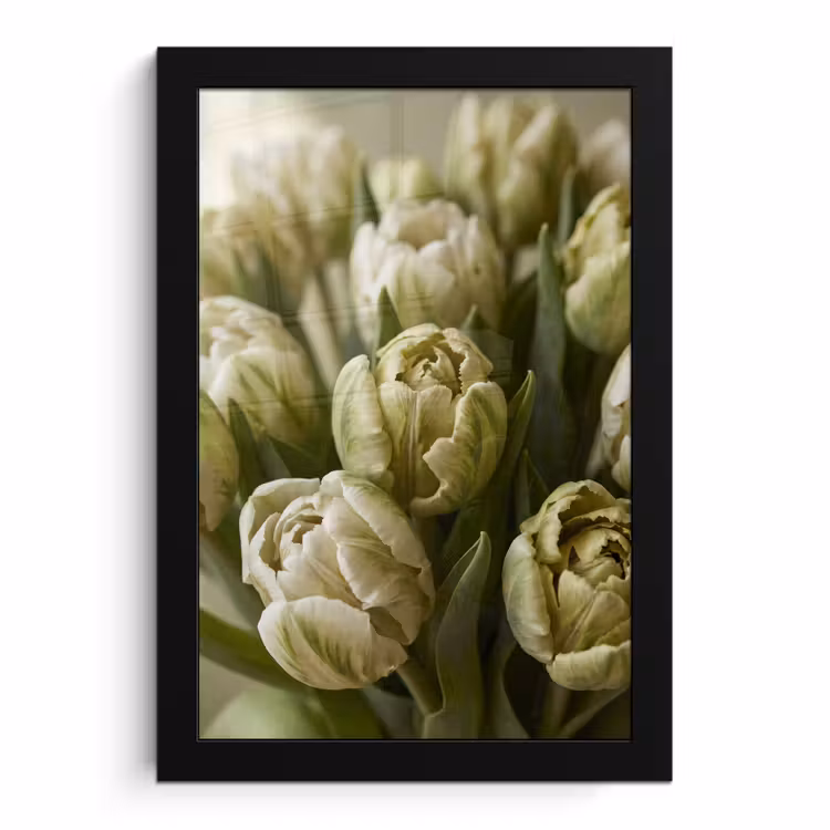 Bilder mit Rahmen - Blumen – Grün – Natur — 1