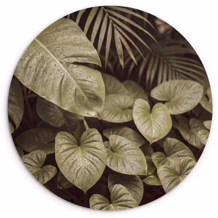 Glasbild Rund - Grüne Blätter – Natur — 1