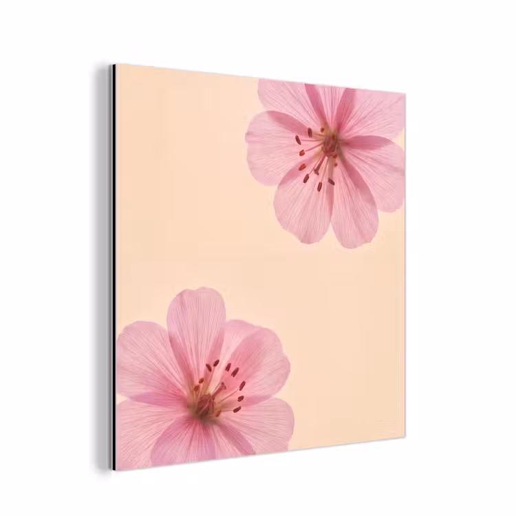 Alu-Dibond-Bild - Blumen – Flora – Pastell — 1