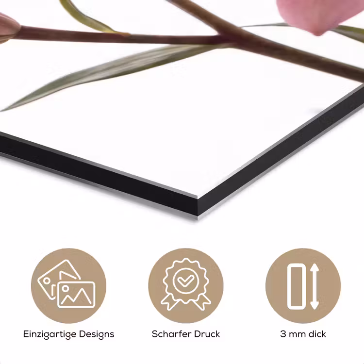 Alu-Dibond-Bild - Blumen – Sanft – Modern — 7