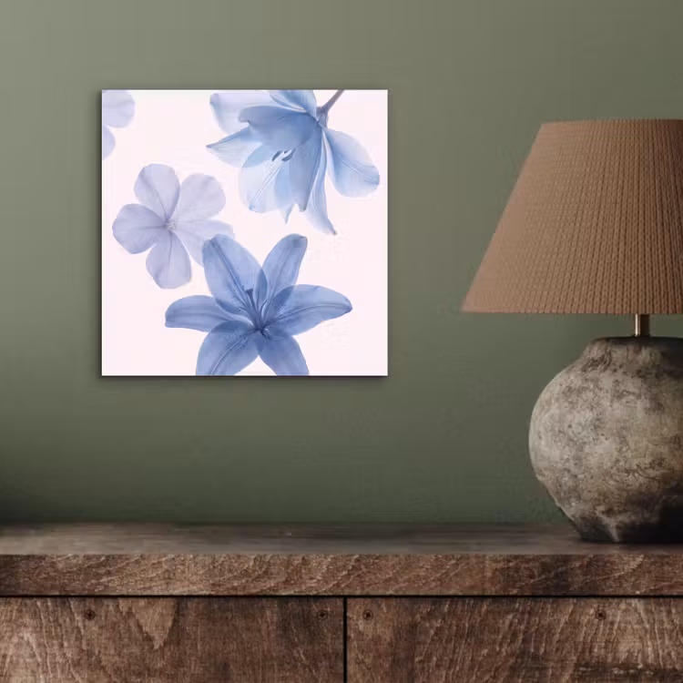 Alu-Dibond-Bild - Blumen – Transparent – Modern — 3