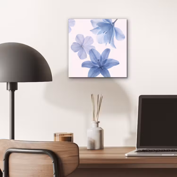 Alu-Dibond-Bild - Blumen – Transparent – Modern — 6
