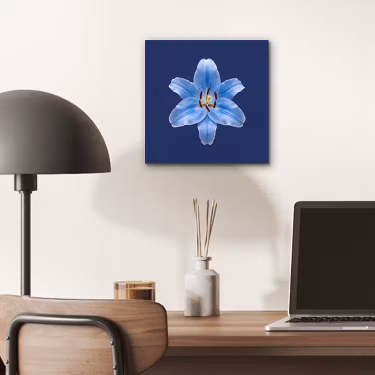 Alu-Dibond-Bild - Blaue Lilie – Blumen — 6