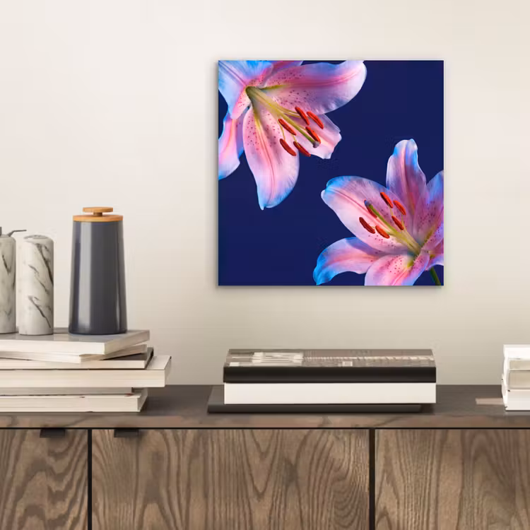 Alu-Dibond-Bild - Blumen – Farbenfroh – Botanisch — 2