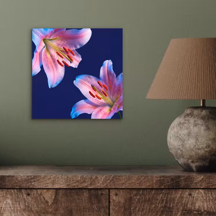 Alu-Dibond-Bild - Blumen – Farbenfroh – Botanisch — 3