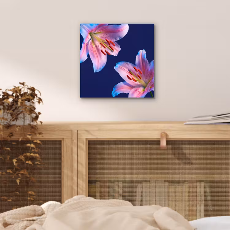 Alu-Dibond-Bild - Blumen – Farbenfroh – Botanisch — 4