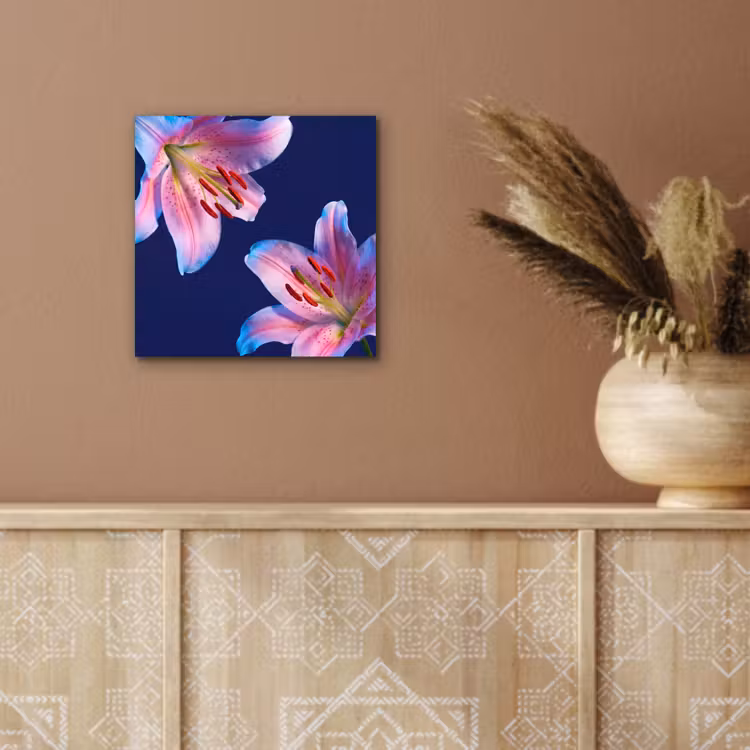 Alu-Dibond-Bild - Blumen – Farbenfroh – Botanisch — 5