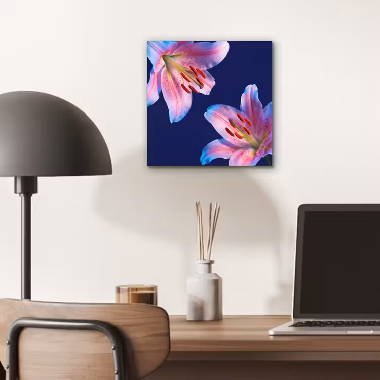 Alu-Dibond-Bild - Blumen – Farbenfroh – Botanisch — 6