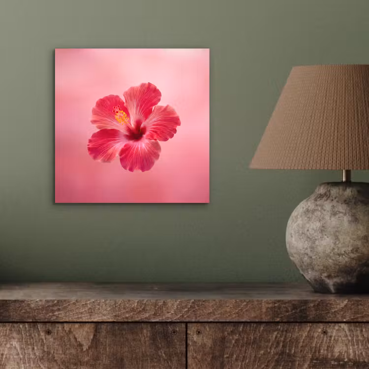 Alu-Dibond-Bild - Rote Blume – Natur — 3
