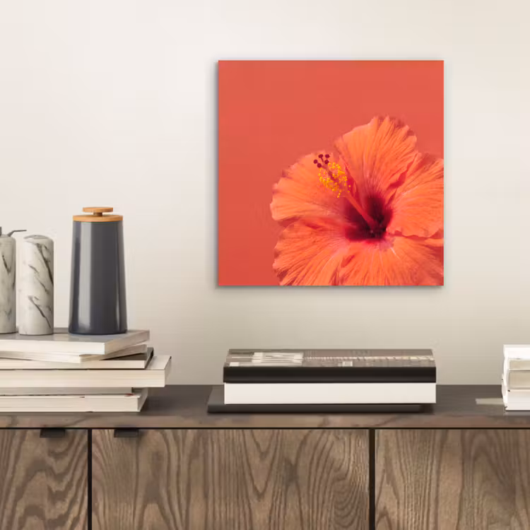 Alu-Dibond-Bild - Blumen – Orange – Natur — 2